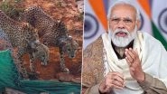 PM Narendra Modi Ecstatic As Two Cheetahs Released Into Bigger Enclosure for Further Adaptation of Kuno Habitat; Shares &lsquo;Great News&rsquo; With Tweet (Watch Video)