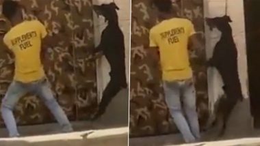 Ghaziabad Shocker: Two Men Hang, Torture Dog to Death, Police Register Case After Video Goes Viral (Disturbing Visuals)