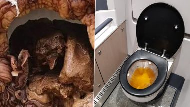 Giant Mysterious 'Alien' Growth Blocks Customer's Toilet in Wales; Plumber Shares Pic of The Bizarre Fungus, Leaves Specialists Stumped (View Tweet)