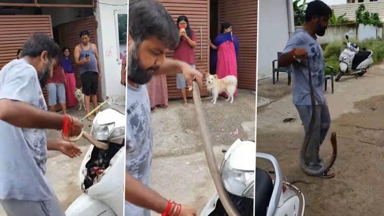 Ssscary Catch! Man Tries To Rescue Giant Cobra Stuck Inside Scooty With Bare Hands; Viral Video Will Scare the Wits Out of You!