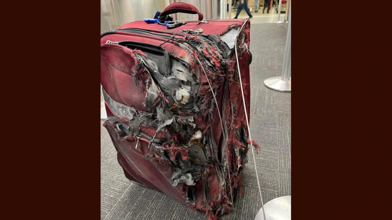 Luggage Stuck in Plane's Engine? Passenger Receives 'Chewed Up' Suitcase Following a Flight; Viral Pic Leaves Internet Appalled