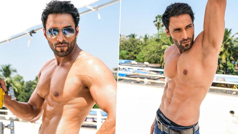 Shaalien Malhotra Narrates His Fitness Journey While Flaunting His Washboard Abs! (View Pic)