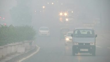 Delhi Air Pollution: Centre, States Can Decide on Permitting Work From Home for Government Employees, Says Air Quality Panel