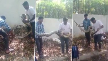 Viral Video: 14-Feet-Long Python Found in Secunderabad’s Rail Nilayam Colony Park While Cleaning Garbage