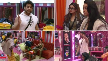 Bigg Boss 16: Shalin Bhanot Accuses Tina Datta of Using Him! (Watch Video)