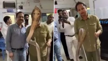 Viral Video: Huge Cobra Rescued from LIC Office in Mumbai
