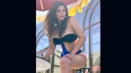 Shama Sikander Flaunts Her Envious Curves and Shows Off Her Sexy Beach Style in Latest Insta Post! (View Pic)
