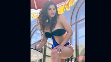 Shama Sikander Flaunts Her Envious Curves and Shows Off Her Sexy Beach Style in Latest Insta Post! (View Pic)