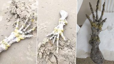 Creepy 'Alien Skeletal Hand' With Long Bony Fingers Discovered by Terrified Couple in Brazil Beach; Watch Viral Video At Your Own Risk!