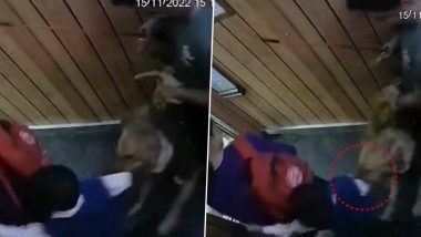 Dog Attack in Greater Noida: Owner Fined Rs 10,000 After His Pet Canine Bites Child Inside Lift (Watch Video)