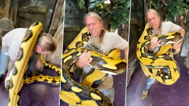 Giant Python Squeezes Snake Handler as He Struggles to Take the 20-Foot-Long Snake Back to Its Cage; Viral Video Will Wake You Up Tonight!