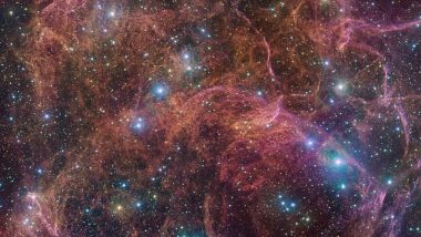 Halloween in Space? ESO Telescope Captures Gigantic Star's 'Ghostly' Remains; Spooky Pic of Vela Supernova Goes Viral