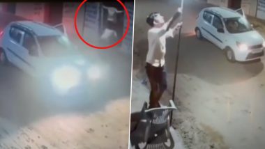 Rajasthan Shocker: Thieves Arrive in Car, Steal Light Bulbs From Shops in Nawalgarh; Video Goes Viral