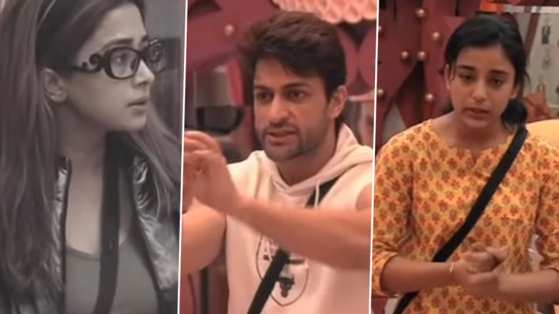 Bigg Boss 16: Tina Datta Claims That Sumbul Touqeer Is in Love With Shalin Bhanot; Says, ‘Whenever Shalin and I Fight, You Take Advantage’