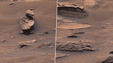 Duck Spotted on Mars? NASA's Curiosity Rover Captures Viral Image of Duck-Shaped Rock on The Surface of The Red Planet, Leaves Netizens Stunned (See Pics)