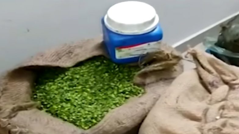 Nagpur Shocker: Rotten Peanuts Coated in Green Colour Sold as Pista (Watch Video)