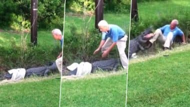 Shocking! Giant Angry Alligator Attacks Old Man Who Tried to Control The Wild Beast with T-Shirt in Viral Video