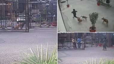 Stray Dog Attack in Ghaziabad: 11-Year-Old Girl Bitten by Canine in Vaishali, Incident Recorded in CCTV (Watch Video)