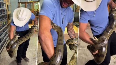Huge Green Anaconda Bites Man Multiple Times as He Lifts The Angry Reptile in Arms; Viral Video Will Send Shivers Down Your Spine