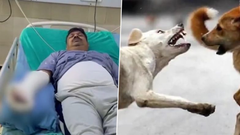 Dog Attack in Bijnor: Cop Attacked by Stray Dogs While Trying to Save Man on Bike From Canines, Hospitalised (Watch Video)