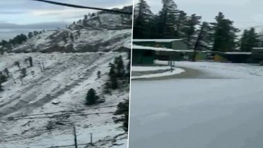 Video: Fresh Snowfall Covers Mughal Road and Pir Panjal Area in Rajouri, Traffic Movement Suspended