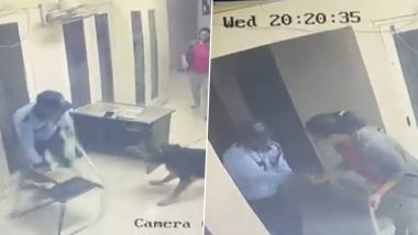 Dog Attack in Noida: Security Guard Attacked by Pet Dog at Unitech Horizon Society, CCTV Video Goes Viral