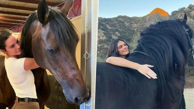 Kendall Jenner Reveals Her Horse Is Expecting a Baby Via Surrogate