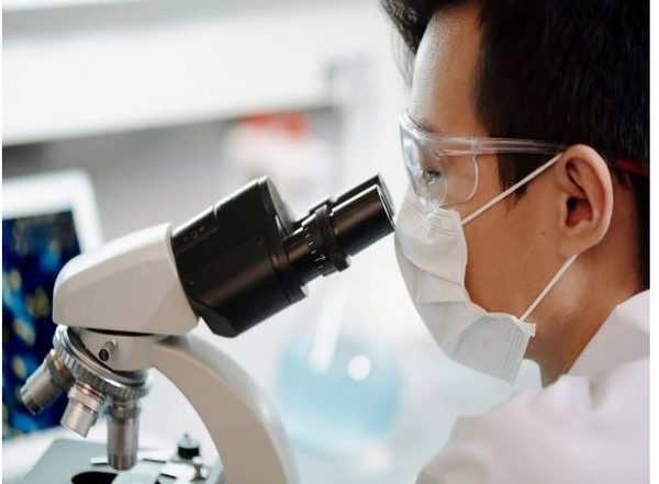 Health News | Research Finds Gut-brain Connection for Social Behavior