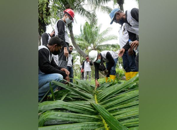 Business News | Golden Agri-Resources Introduces Sawit Terampil to Enhance Agricultural Practices Among Farmers