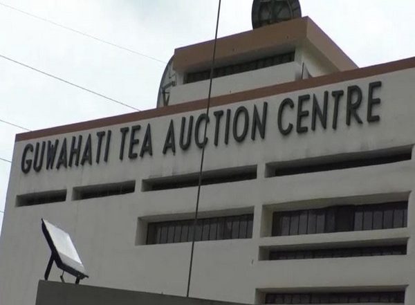 India News | Middle East Importer Purchases 12.5 Lakh Kgs of CTC Tea at GTAC Auction