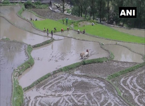 India News | Agriculture is Becoming Lucrative Option for Youth of Jammu and Kashmir