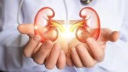 Science News | Researchers Suggest New Scanning Methods to Reduce Evaluation Time of Donor Kidneys
