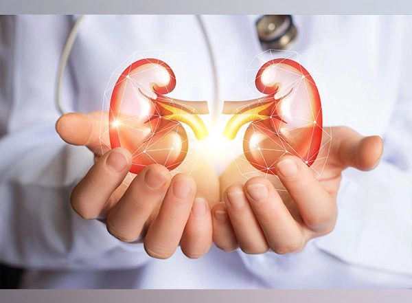 Science News | Researchers Suggest New Scanning Methods to Reduce Evaluation Time of Donor Kidneys