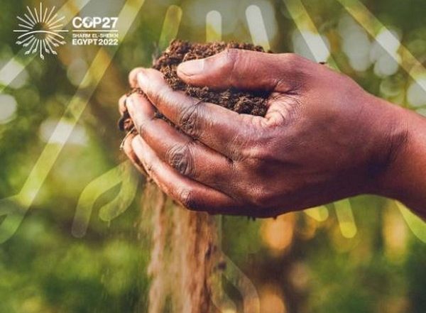 Business News | Carbon Credits, Climate Finance, Impact of Energy Crisis...S&P Global Commodity Insights Lists Themes to Watch During COP27