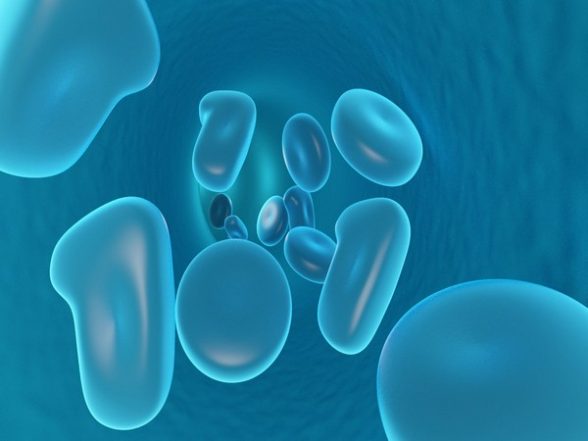 Science News | Study: Enzyme Engineering Made Easy Using Artificial Intelligence - Vimarsana News