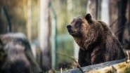 Health News | Study Finds That Carnivore Gut Microbes Offer Insight into Health of Wild Ecosystems