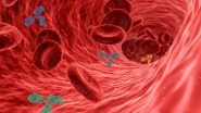 Health News | Research: Growing Motor Neurons Guided by 'love-hate Relationship' with Blood Vessels