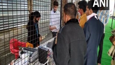 India News | Defunct CCTV Cameras at Haridwar Railway Station Pose Security Threat