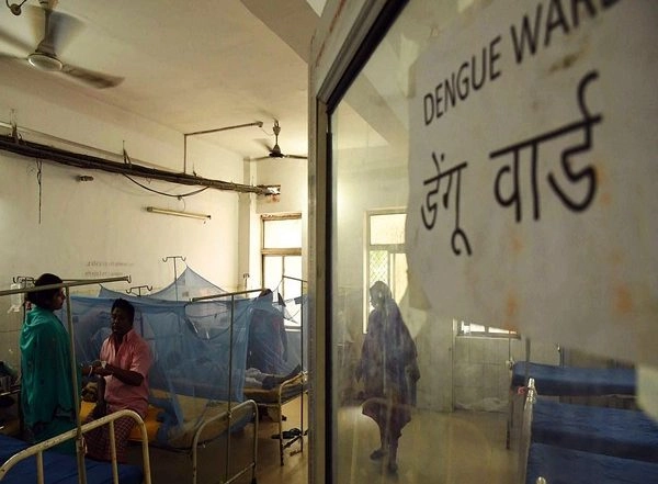 India News | Schools, Colleges in Assam's Diphu Closed Due to Dengue Outbreak