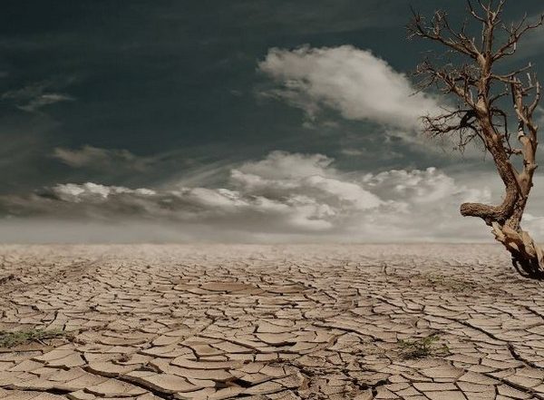 Science News | Research Explores Complexity of Dryland Dynamics Under Changing Climate