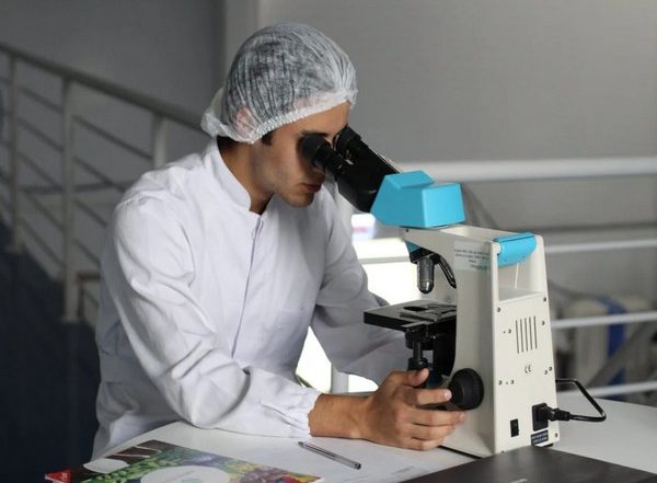 Science News | Researchers Discover New Phase Transition for Developing Hybrid Materials