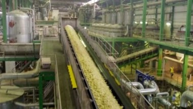 Business News | Govt Comes out with Guidelines for Ethanol Production from Sugar, Grain-based Feedstock