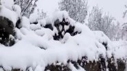 India News | Himachal Pradesh Receives Fresh Round of Snowfall: IMD