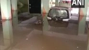 Andhra Pradesh Rain: Heavy Waterlogging Witnessed in Nellore Due to Intermittent Rainfall (See Pics)