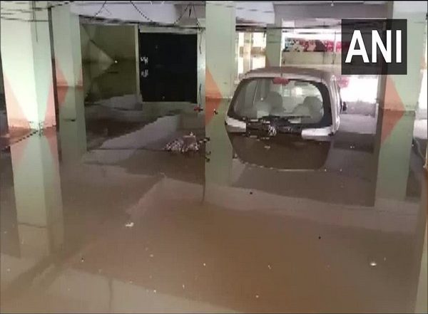 Andhra Pradesh Rain: Heavy Waterlogging Witnessed in Nellore Due to Intermittent Rainfall (See Pics)