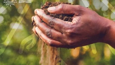 World News | Joint Work Programme of UNFCCC Technology Mechanism Launched at COP27