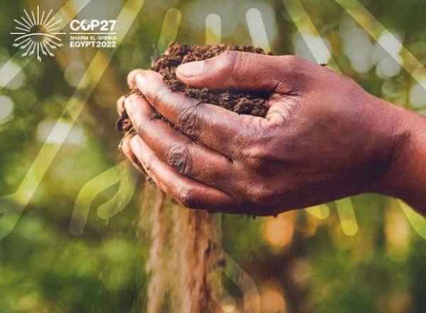 World News | Joint Work Programme of UNFCCC Technology Mechanism Launched at COP27