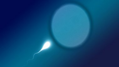Sperm Counts Drop Globally; Decline in Sperm Count Worldwide Reflection of World Crisis Connected To Human Lifestyle, Say Researchers