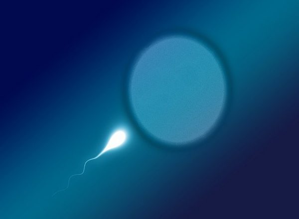 Sperm Counts Drop Globally; Decline in Sperm Count Worldwide Reflection of World Crisis Connected To Human Lifestyle, Say Researchers