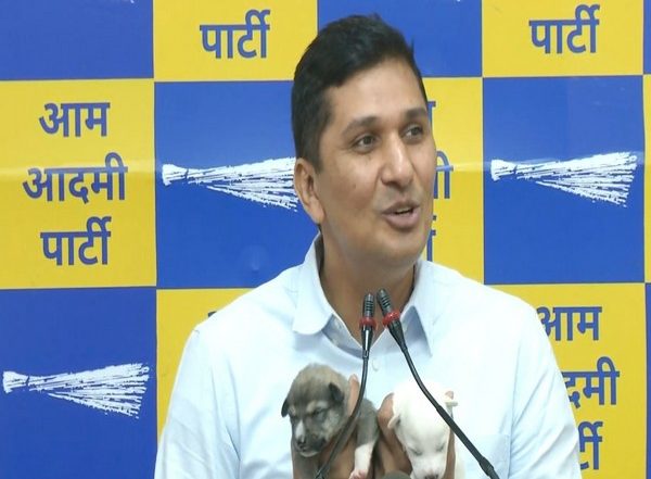 MCD Elections 2022: AAP Promises To Provide Relief From Stray Cattle, Monkey and Dog Menace in Delhi
